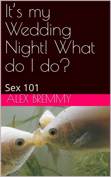 It’s my Wedding Night! What do I do?: Sex 101