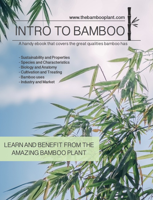 INTRO TO BAMBOO