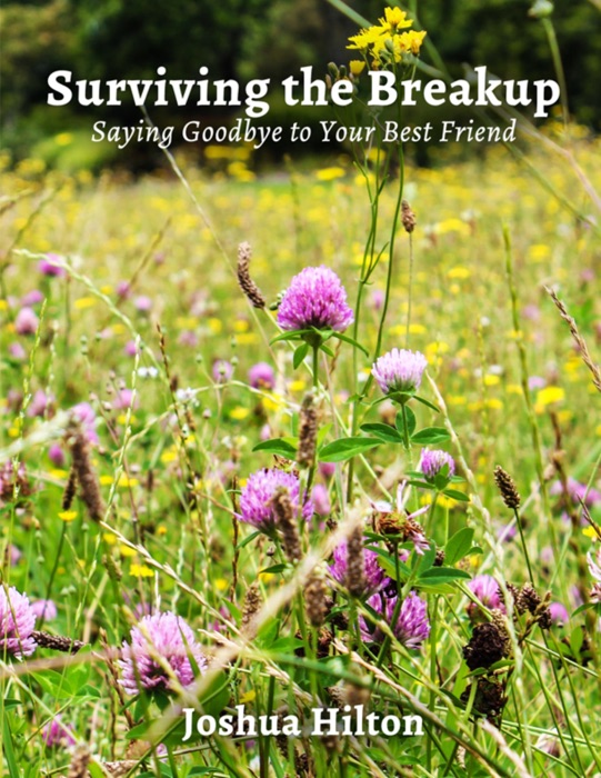 Surviving the Breakup: Saying Goodbye to Your Best Friend