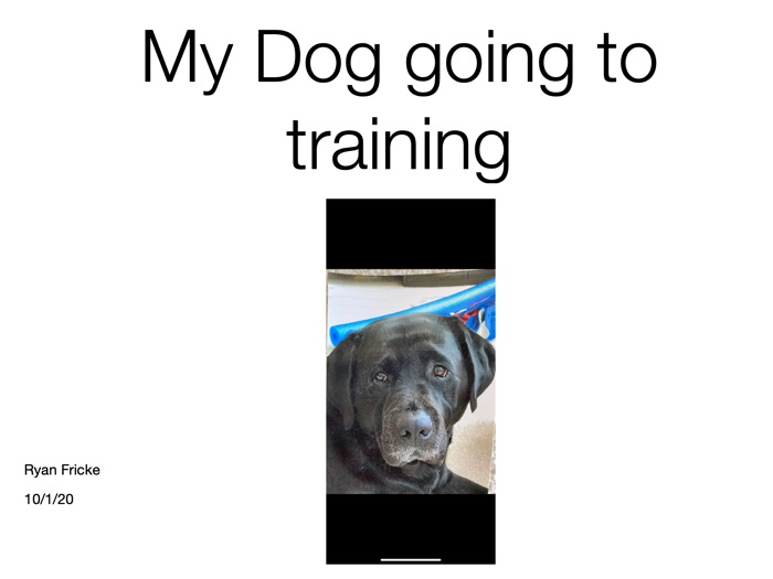 My Dog Goes to Training