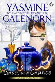 Ghost of a Chance: A Paranormal Women's Fiction Novel