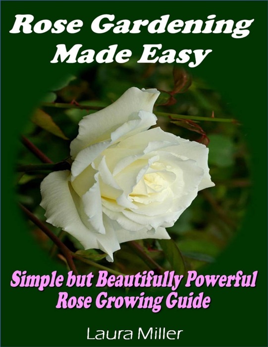 Rose Gardening Made Easy