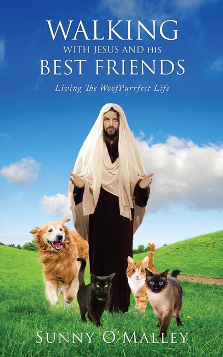 WALKING WITH JESUS AND HIS BEST FRIENDS