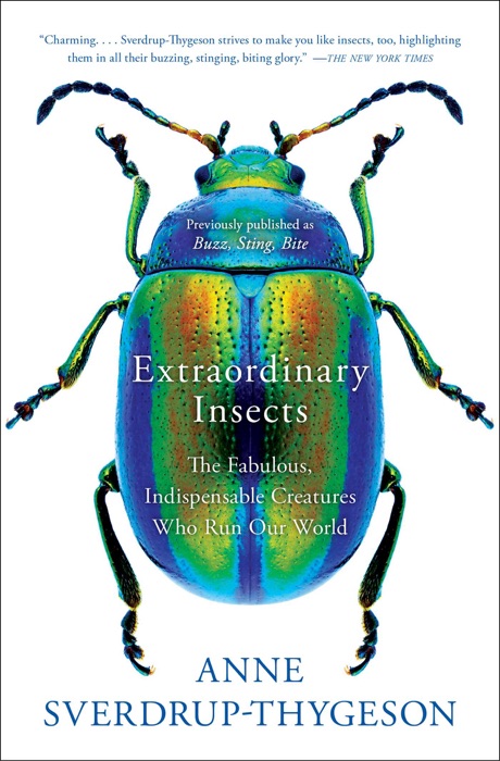 Extraordinary Insects