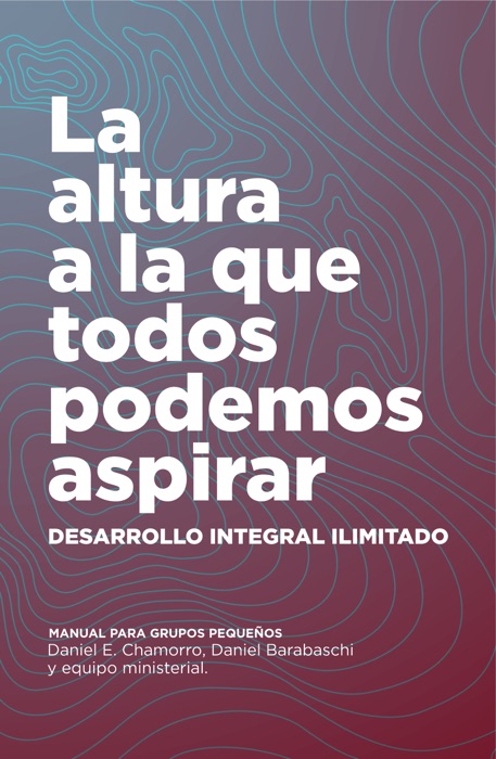 DESARROLLO INTEGRAL ILIMITADO