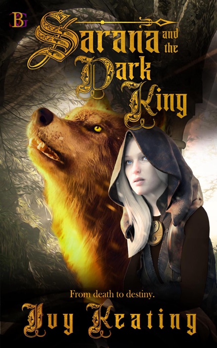 Sarana and the Dark King
