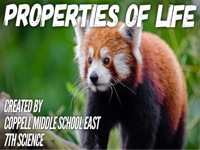 Properties of Life