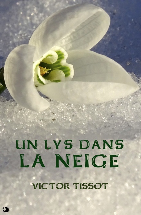 Un lys dans la neige