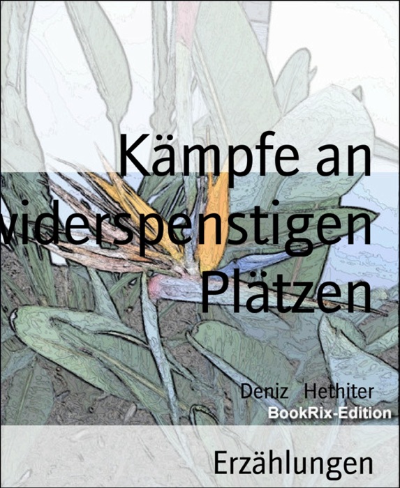 Kämpfe an widerspenstigen Plätzen