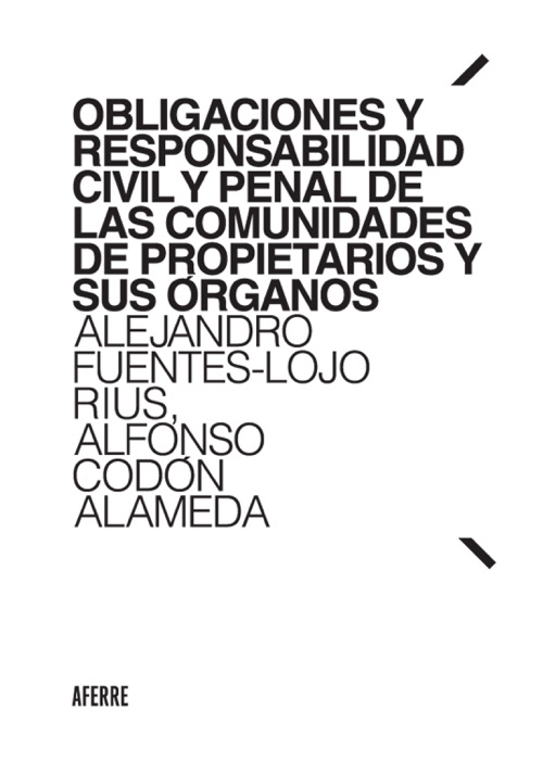 Obligaciones y responsabilidad civil y penal de las comunidades de propietarios y sus órganos