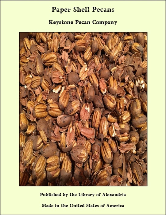 Paper Shell Pecans