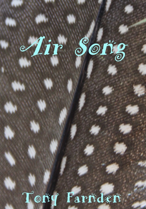 Air Song