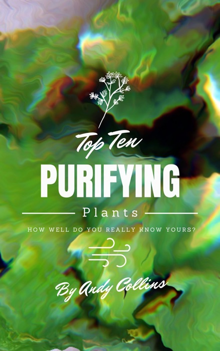 Top 10 Purifying Plants