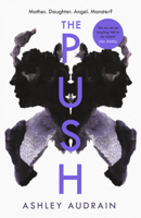 Ashley Audrain - The Push artwork