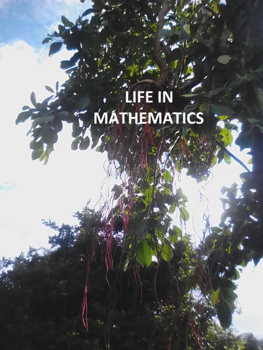Life in Mathematics