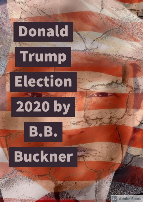 Donald Trump 2020 Election