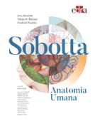 Sobotta Anatomia Umana - Friedrich Paulsen, Tobias Böckers & Jens Waschke