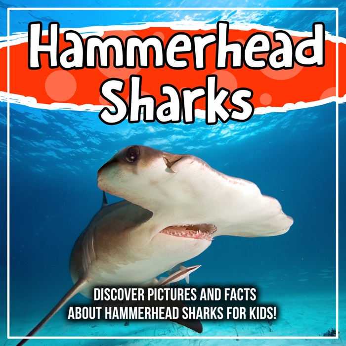 Hammerhead Sharks: Discover Pictures and Facts About Hammerhead Sharks For Kids!