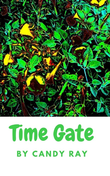 Time Gate