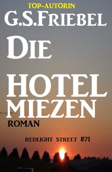 Die Hotelmiezen: Redlight Street #71