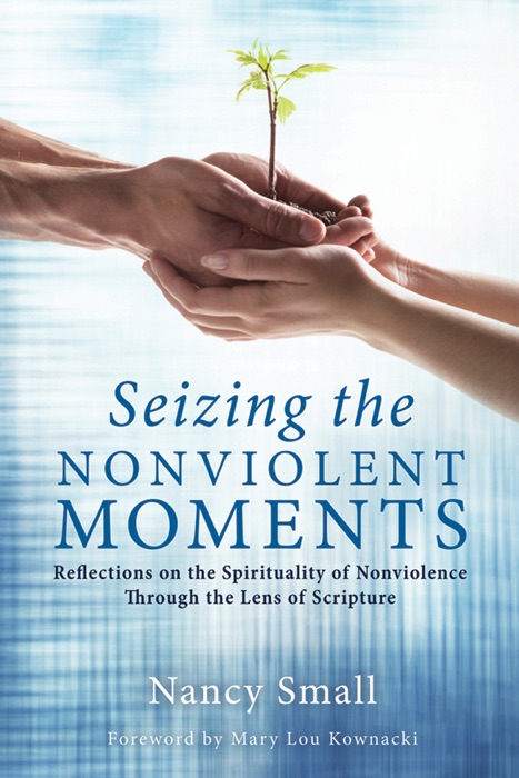 Seizing the Nonviolent Moments