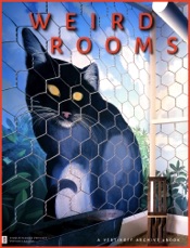 WEIRD ROOMS
