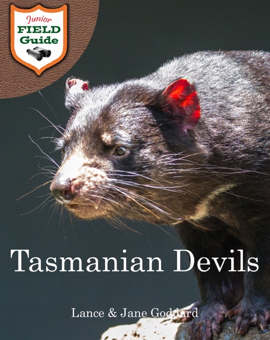 Tasmanian Devils