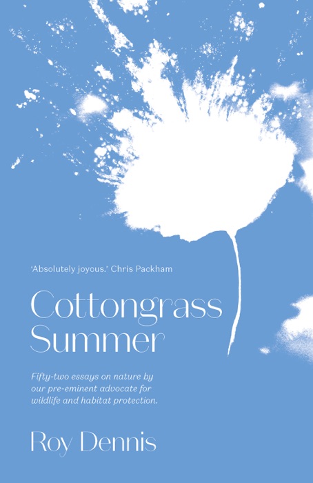 Cottongrass Summer