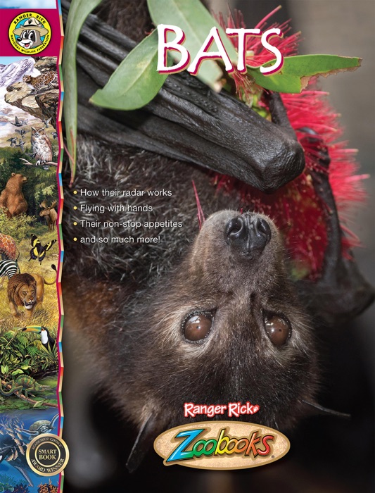 Zoobooks Bats