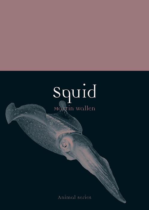 Squid