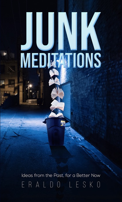 Junk Meditations