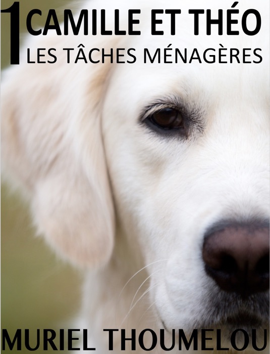 CAMILLE ET THÉO: Les tâches ménagères