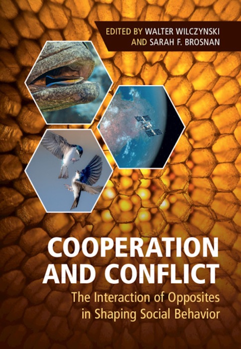 Cooperation and Conflict