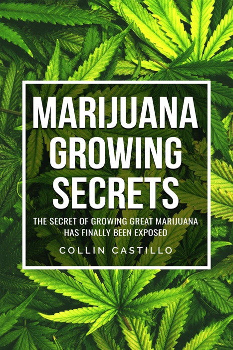 Marijuana Growing Secrets The Secret of Growing Great Marijuana has Finally Been Exposed