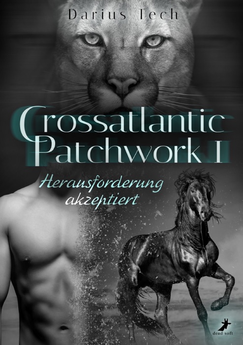 Crossatlantic Patchwork 1