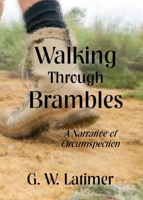 Walking Through Brambles: A Narrative of Circumspection