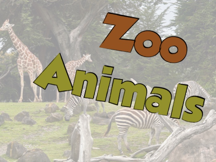 Zoo Animals, Multimodal Vocabulary Activity Book