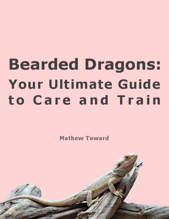 Bearded Dragons: Your Ultimate Guide to Care and Train