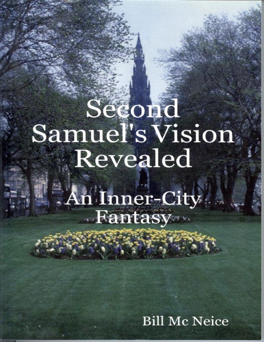 Second Samuel's Vision Revealed