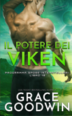 Il Potere dei Viken Book Cover