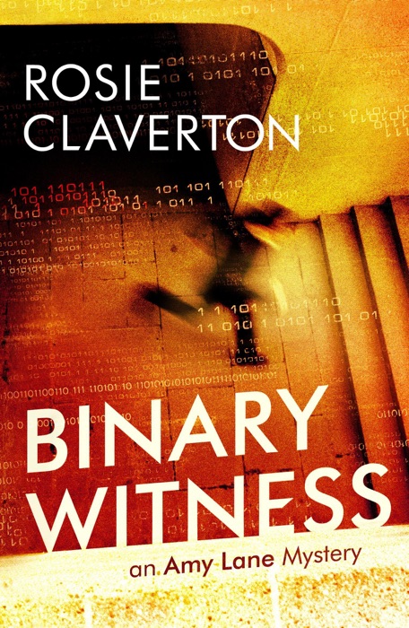 Binary Witness (Amy Lane Mysteries)