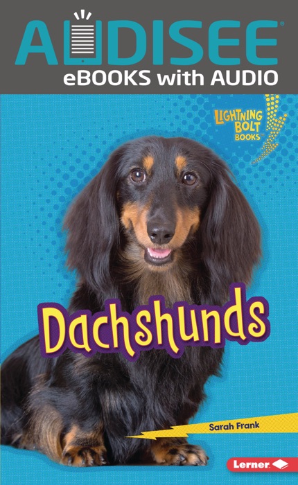 Dachshunds (Enhanced Edition)