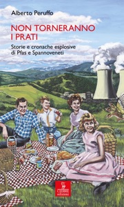 Non torneranno i prati Book Cover