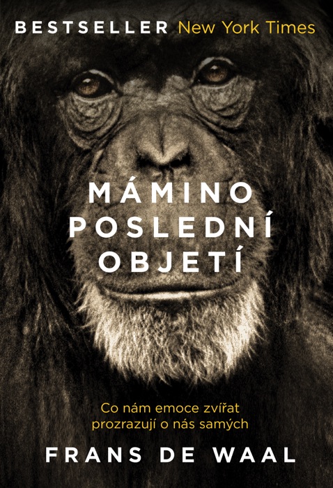 (Download) 