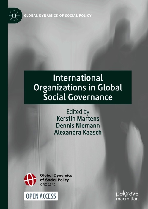 International Organizations in Global Social Governance