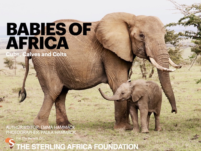 Babies of Africa