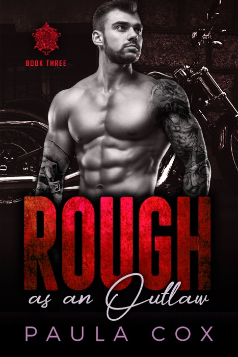 Rough as an Outlaw - Book Three