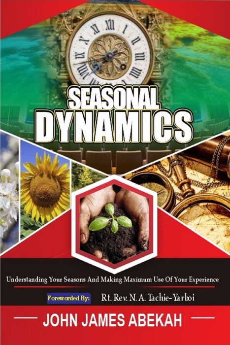 Seasonal Dynamics (Understanding Your Seasons And Making Maximum Use of Your Experiences)