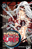 Demon Slayer: Kimetsu no Yaiba, Vol. 22 - Koyoharu GOTOUGE