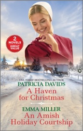 A Haven for Christmas and An Amish Holiday Courtship - Patricia Davids & Emma Miller by  Patricia Davids & Emma Miller PDF Download